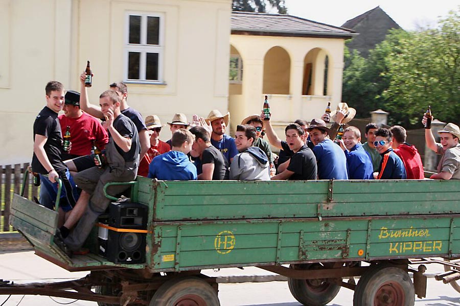 Die Jugend holt den Maibaum